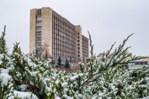 Лариса Толстыкина провела первое в 2024 году заседание межведомственной комиссии по реализации трудовых, пенсионных и социальных прав отдельных категорий лиц