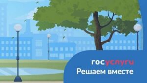 Правительством принято решение о проведении апробации технологических решений, реализованных на базе ФГИС «Единый портал государственных и муниципальных услуг (функций)»