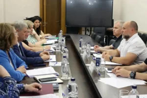 Председатель Правительства Андрей Чертков встретился с делегацией федерального Минздрава