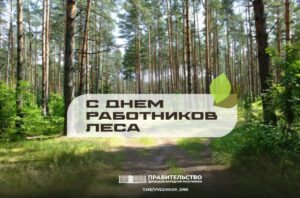 Вице-премьер Владимир Ежиков поздравил работников лесного хозяйства с профессиональным праздником